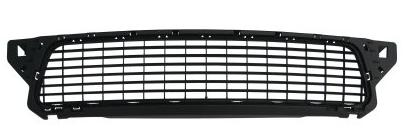 Articolo TPV4W - GRIGLIA P/TI ANT DACIA DUSTER 01/10>